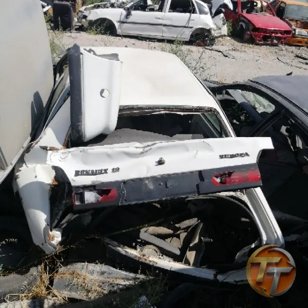 RENAULT 19