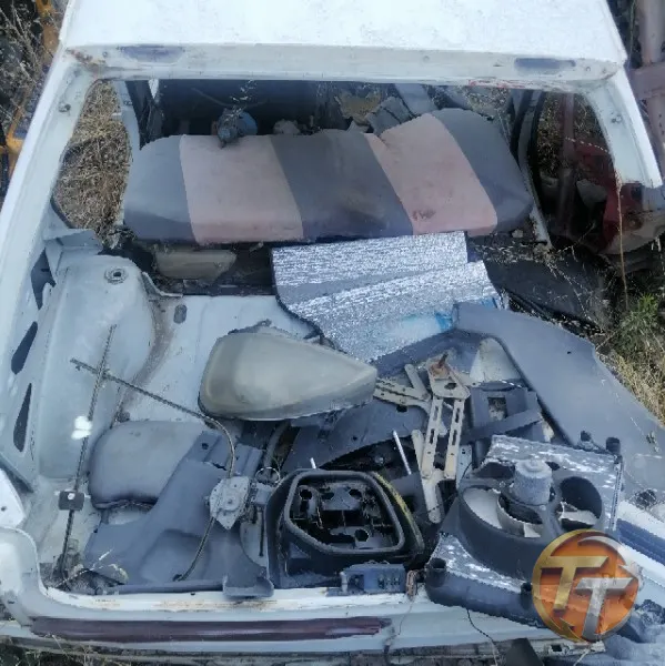 RENAULT FLASH