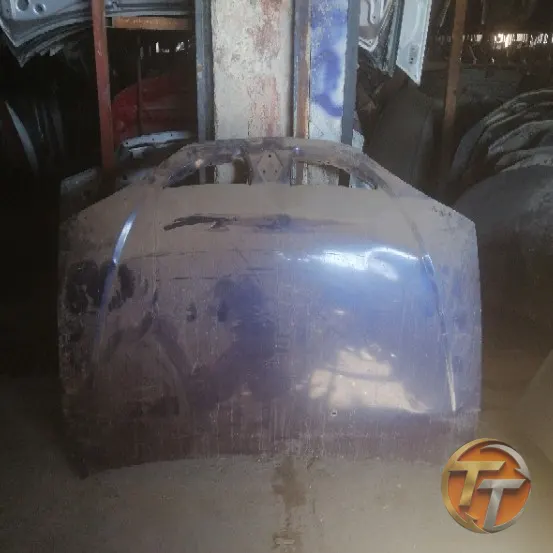 RENAULT MEGANE 1 kaput Ek-212 Esan